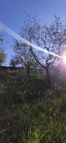 Agroturismo Agriturismo Sotto La Rocca