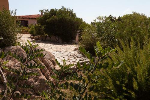 Villa Con Magnifico Terrazzo Iun P6868