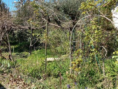 Apartamento Joli T3 Et Son Jardin Fleuri
