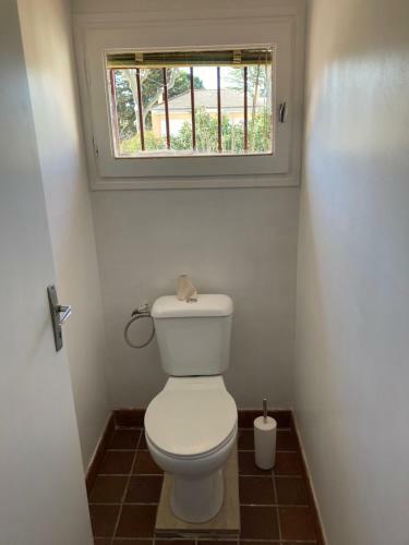 Apartamento Joli T3 Et Son Jardin Fleuri