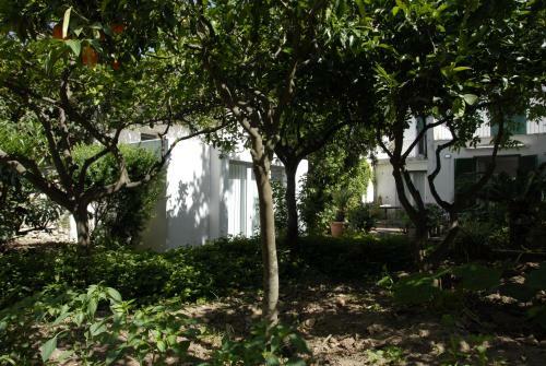 Casa Montalto Capri