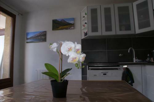 Apartamento Le Guisanel