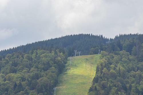 Hotel Pid Strihoju