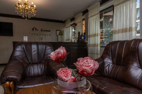 Hotel Pid Strihoju