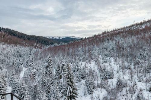Hotel Konopka Forest Home
