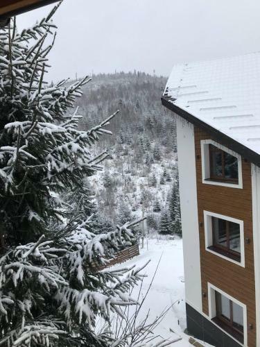 Hotel Konopka Forest Home