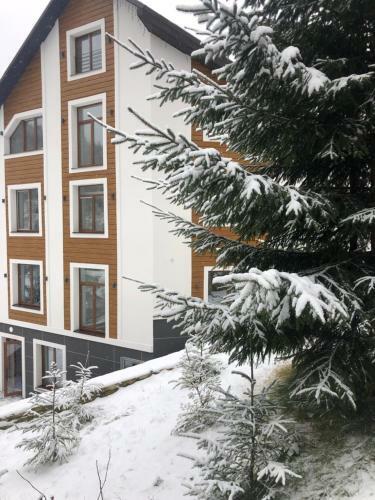Hotel Konopka Forest Home