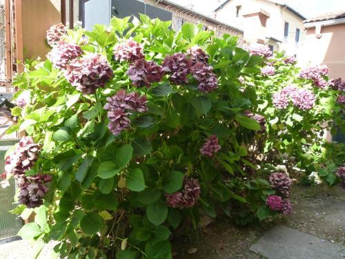 Apartamento Appart-hotel Lyon8 Proche Hopitaux