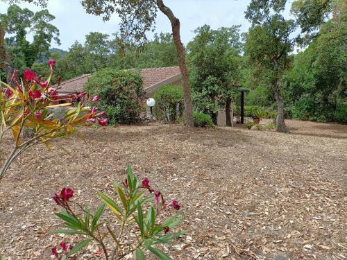 Apartamento Villa Capoperla
