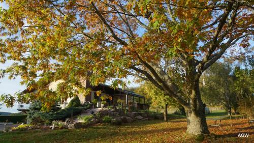 Bed & Breakfast Chambres D'h�tes De L'avison