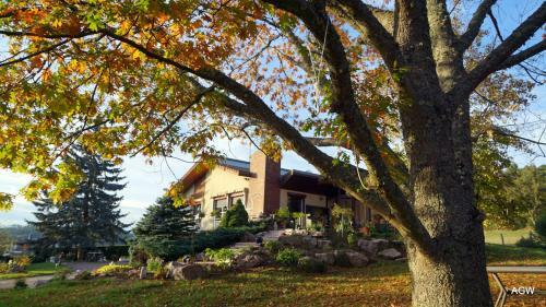Bed & Breakfast Chambres D'h�tes De L'avison