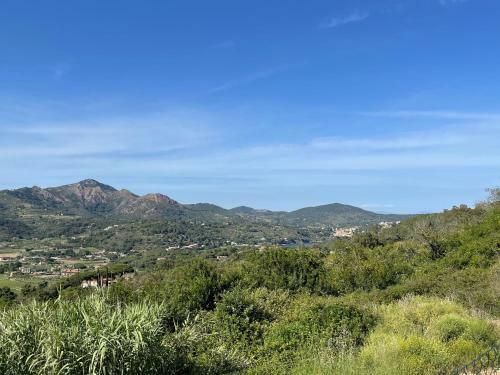 Apt. Pieve San Michele By Agenzia Solturelba