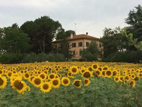 Apartamento Villa Morea