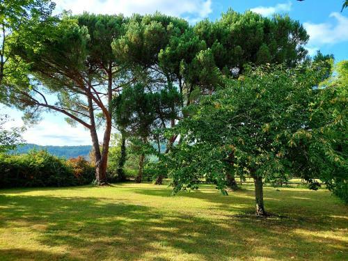 Apartamentos La Buissi�re - Gite Aux Chats
