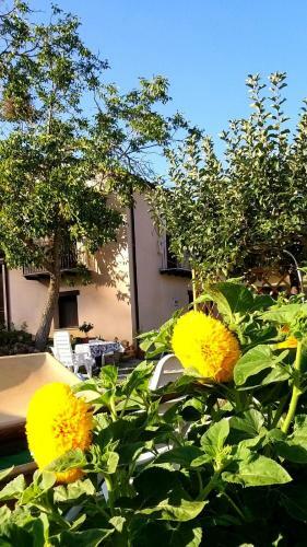 Bed & Breakfast Agriturismo Gentile