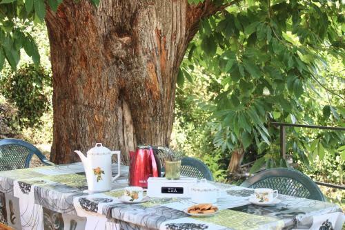 La Casetta Nel Bosco Per Turisti