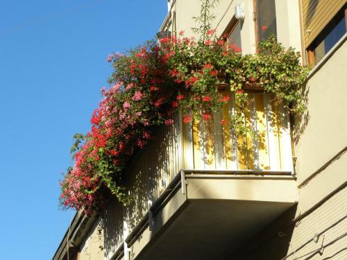 Apartamento Villa Delle Palme