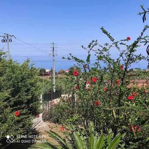 Tonnara Paradise Mare & Relax