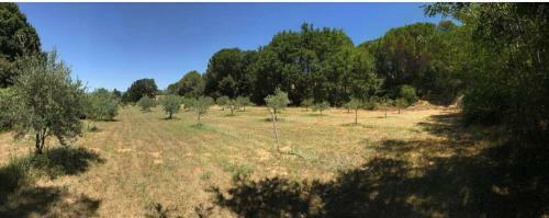 Bed & Breakfast Provence Mon Amour