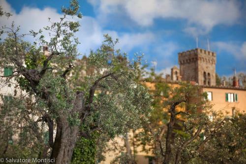 Hostal Affitta Camere Vianova
