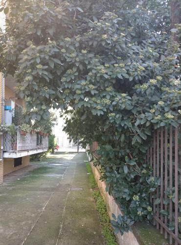 Hostal Le Stanze Di Ginevra - Via Tescione