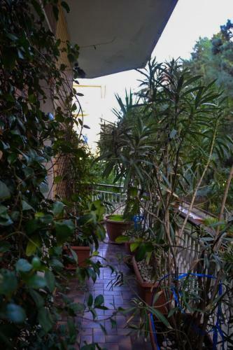 Hostal Le Stanze Di Ginevra - Via Tescione