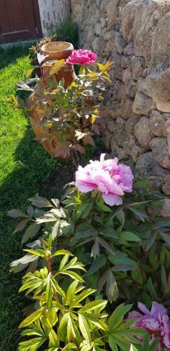 Hostal Scuderie Del Cavaliere Delle Gravine