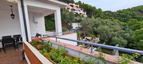Apartamento Wild Cilento