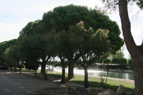 Apartamento Grand Studio Cabine La Lagune Acc�s Direct Plages