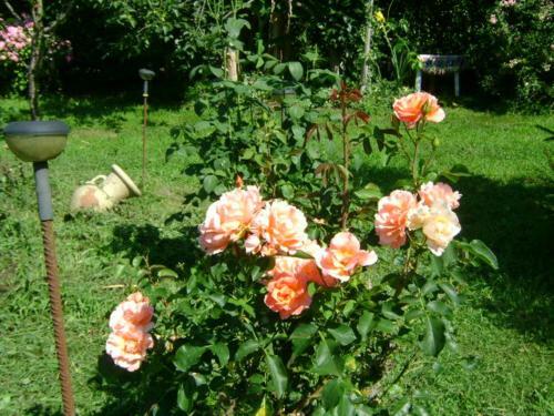 Apartamento Giardino Dei Fiori