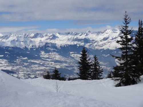 Apartamento Studio Plein Sud. Vall�e De Chamonix. Pieds De Pistes.