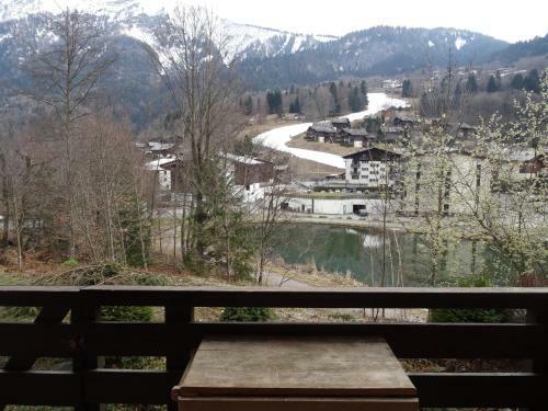 Apartamento Studio Plein Sud. Vall�e De Chamonix. Pieds De Pistes.