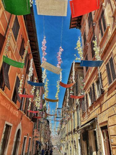 Vakantiehuisje Op Park Ippotur