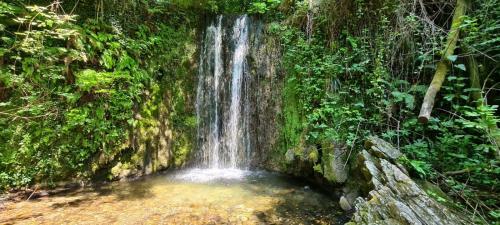 Vakantiehuisje Op Park Ippotur