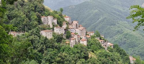 Vakantiehuisje Op Park Ippotur
