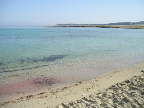 Splendida Villetta Tra Gli Ulivi, Non Distante Dal Mare