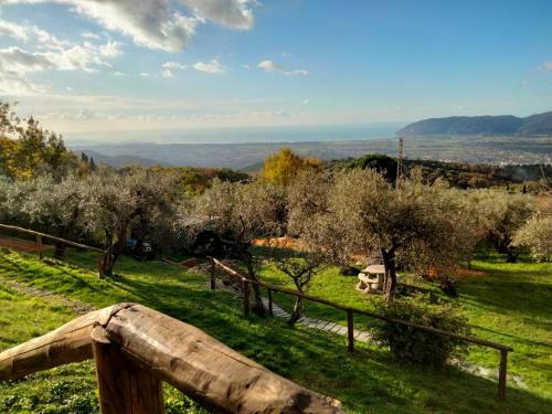 Villa A Casa Di Olivo