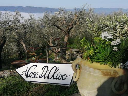 Villa A Casa Di Olivo