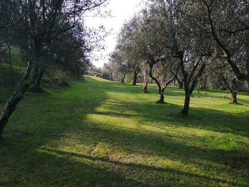 Villa A Casa Di Olivo