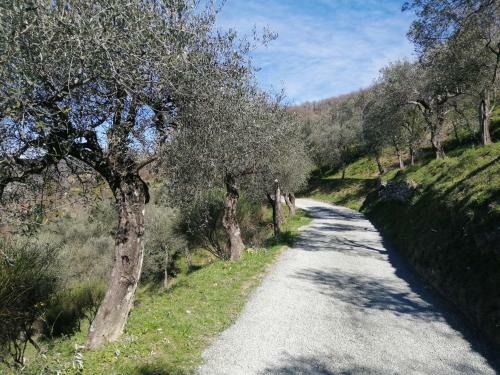 Villa A Casa Di Olivo