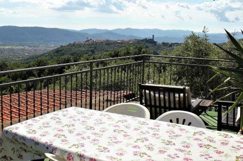 Fattoria Cristina - Fenice