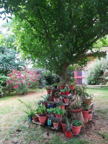 Bed & Breakfast Il Boschetto Di Morgana