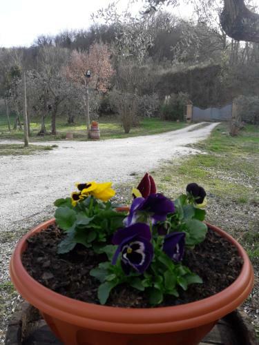 Villa La Casa Di Eva