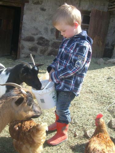 Agroturismo Kompatscherhof
