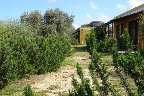 B&B Casa Per Ferie Villaggiocarovana