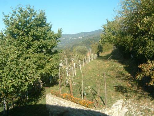 Apartamento Casa Vacanze Rolando