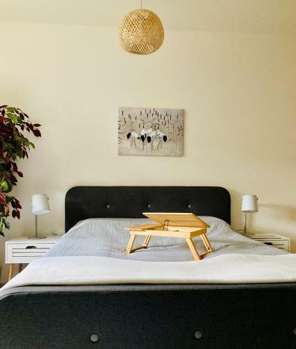 Bed & Breakfast Zielone Okiennice