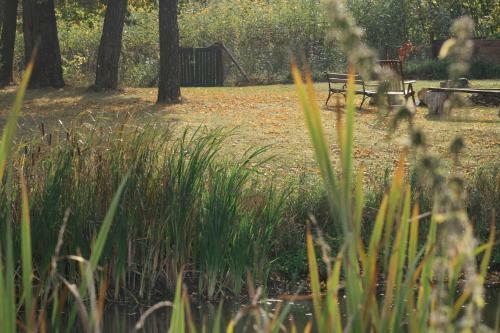 Bed & Breakfast Zielone Okiennice