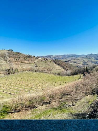 Villa Cascina Pistone - Langhe Hus Med Vinmarker