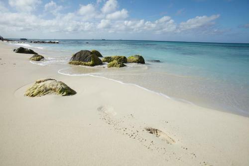 Villa Bougainvillea Aruba, The Tango Suite